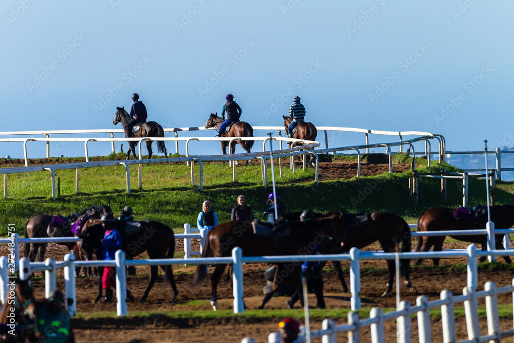 Fototapeta premium Race Horses Riders Training Riding Animals Blue Sky Landscape