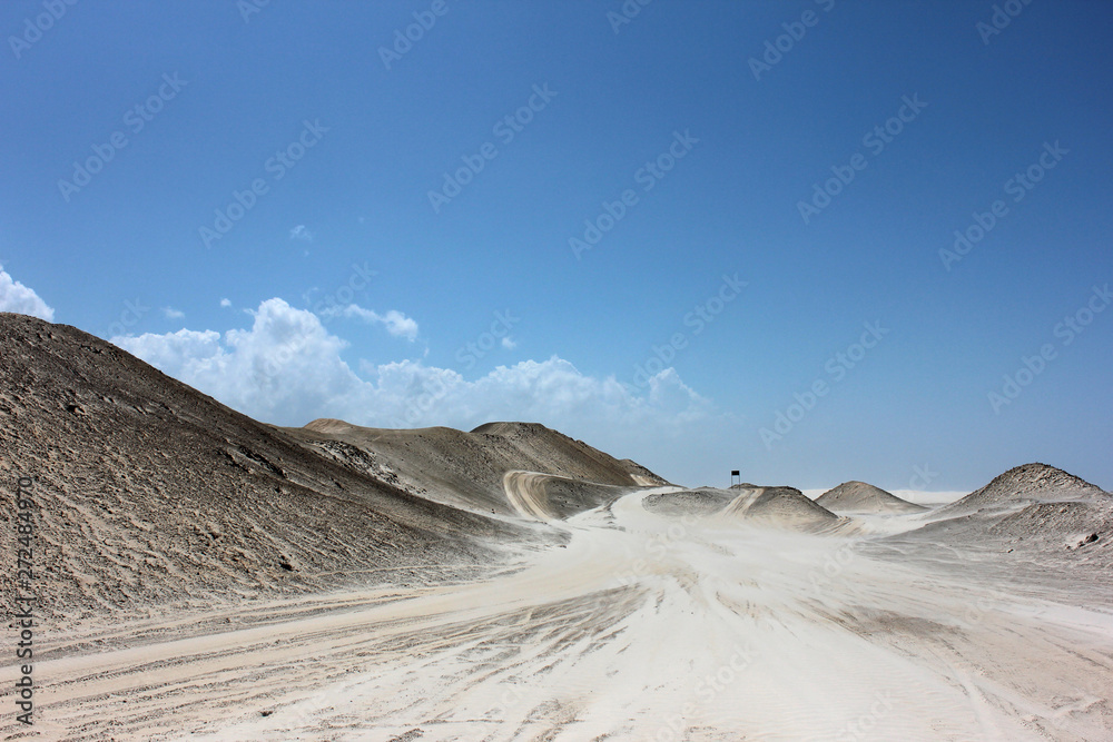 Naklejka premium riding dunes