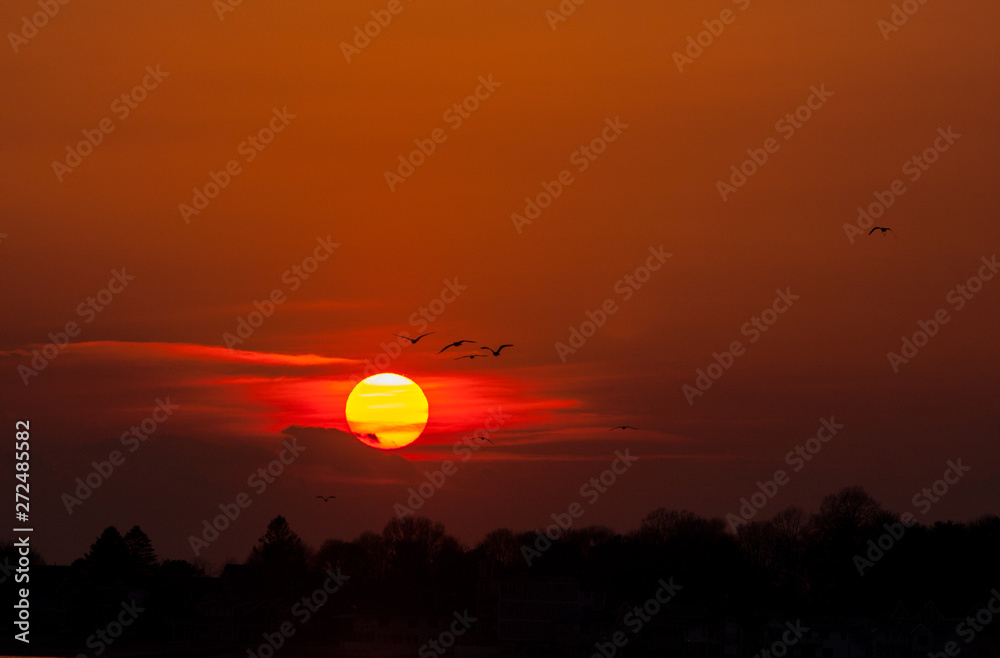 Birds flying at sunset with the setting sun on a bright orange and red sky Birds flying at sunset with the setting sun on a bright orange and red sky