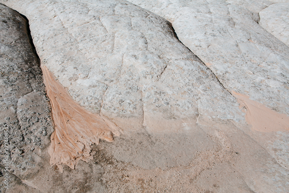 Detail of sandstone rock formations, White Pocket, Vermilion Cliffs, Arizona