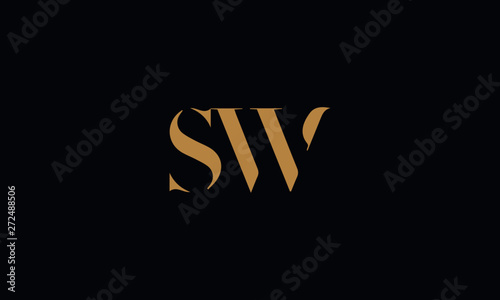 SW logo design template vector illustration