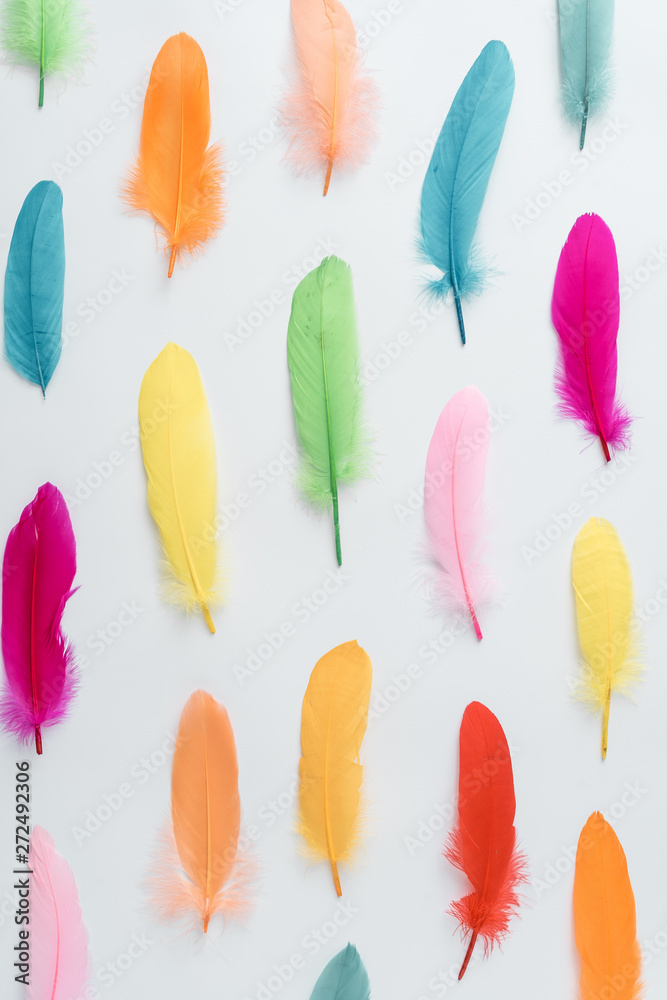 Colorful pattern made of feathers. MInimal boho style color concept. Flat lay backgrund. Colorful pattern made of feathers. MInimal boho style color concept. Flat lay backgrund.