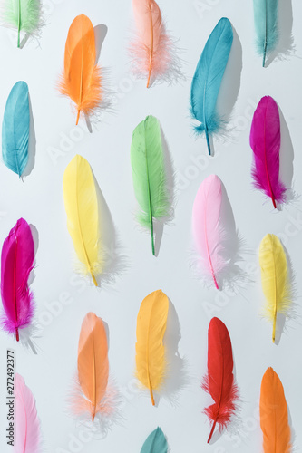 Colorful pattern made of feathers. MInimal boho style color concept. Flat lay backgrund. © Zamurovic Brothers