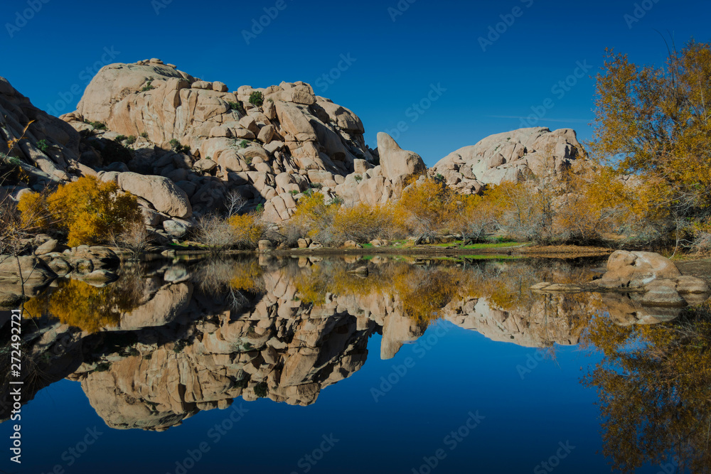 Joshua Tree National Forrest Baker dam reflection lake Joshua Tree National Forrest Baker dam reflection lake