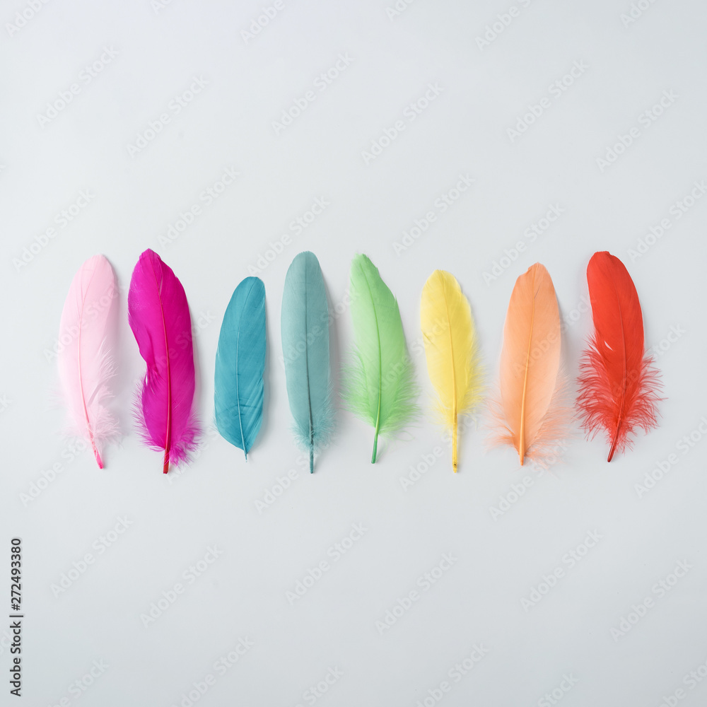 Colorful composition made of feathers. MInimal boho style color concept ...