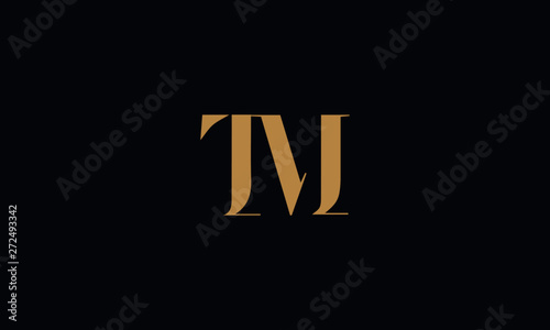 TM logo design template vector illustration