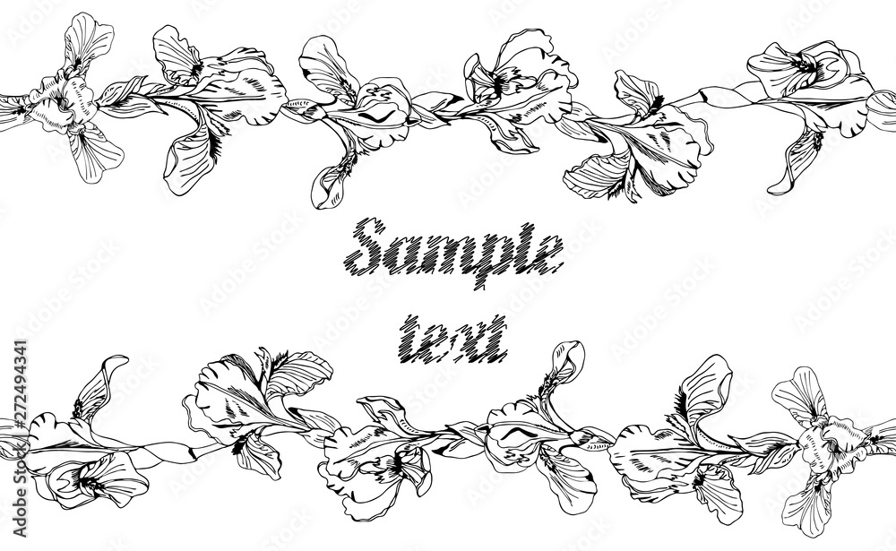 Horizontal template with endless brushes of single buds of iris flowers and place for text. Hand drawn ink sketch. Collection of black elements isolated on white background.