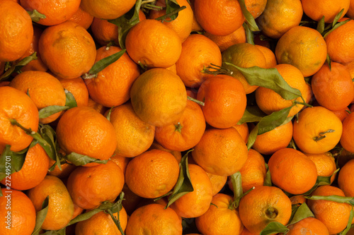 Orange, Orangensernte