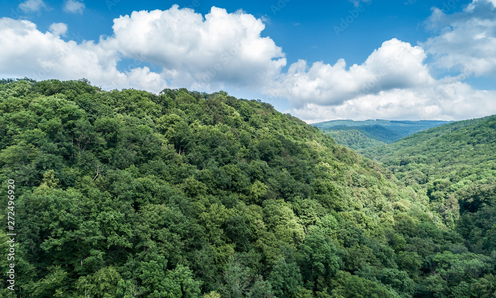 Mountains covered with green forest and river. Carpathians. View from above. Video shot by drone.