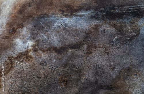 abstract bark texture background