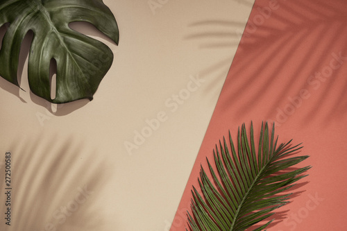 Top view of green tropical leaves and shadow on orange and sand color background. Flat lay. Minimal summer concept with palm tree leaf. Creative copyspace.