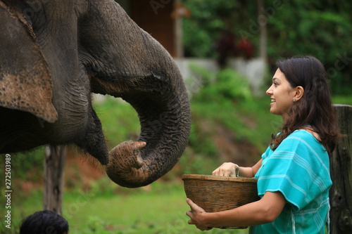 Photography Girl having fun with elephants at Patara Elephant Farm, Chiang Mai, Thailand