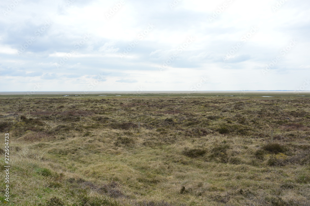 Fototapeta premium Nordseeküste