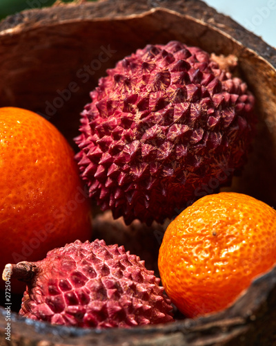 Close-up, macro photo of tropical lytchi and kumquat fruits in coconut shell. Soft focus photo