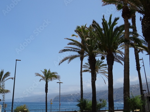 Puerto de la Cruz  Tenerife