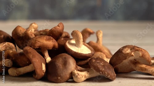Slide to right and turning view of fresh Shiitake mushrooms on a wood board and blue background. photo