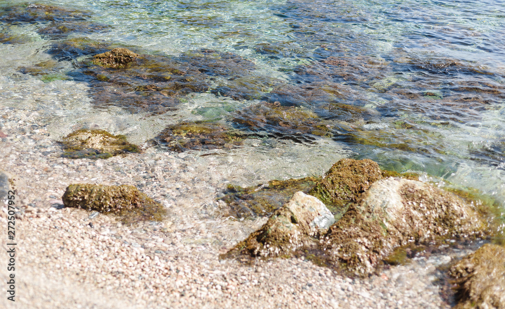 Obraz premium background of transparent sea water and bottom, with stones and waves