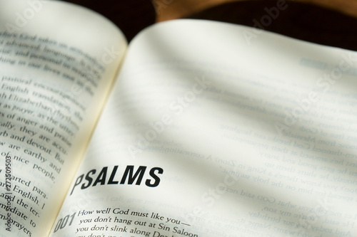 psalms open bible photo