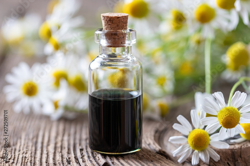 A bottle of dark blue chamomile essential oil and flowers