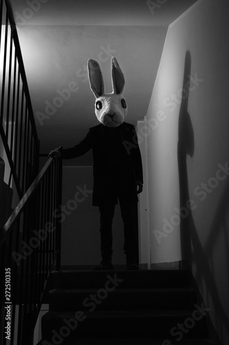 Creepy rabbit on stairs