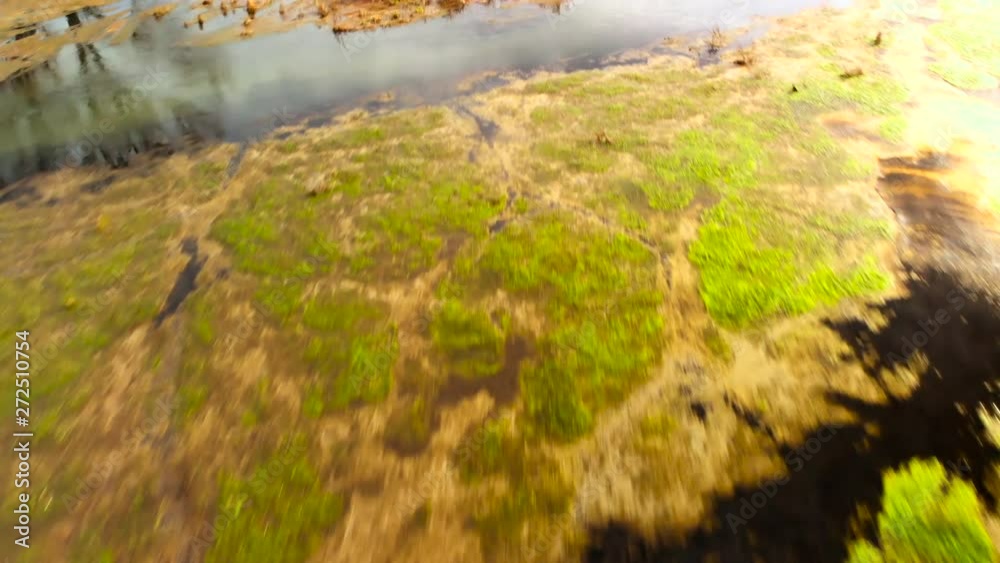 4k shot from the drone, beautifully colored marsh, film light and depth.