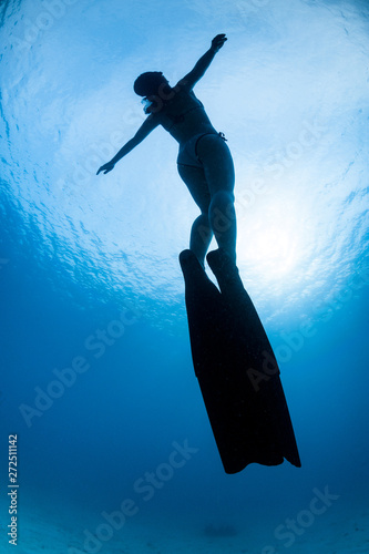 Silhouetted Diver Swimming Upward, Morning