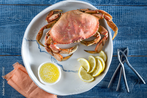 Dungeness Crab