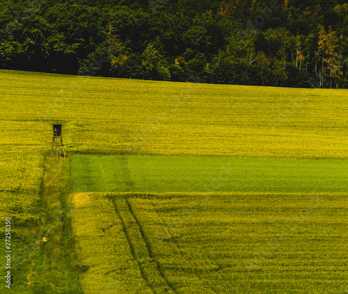 Sommerlandschaft