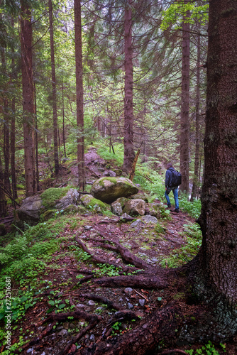 Man hiking in a forest with tall trees