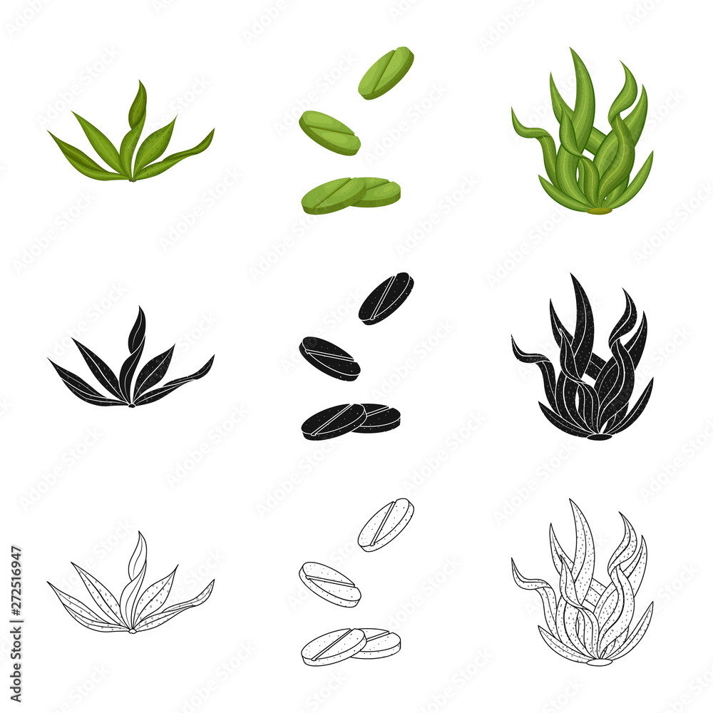 Isolated object of protein and sea sign. Set of protein and natural stock vector illustration. Isolated object of protein and sea sign. Set of protein and natural stock vector illustration.
