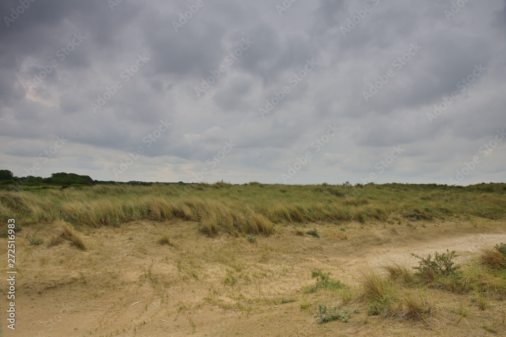 Pochmurny dzień nad nadmorskimi wydmami
