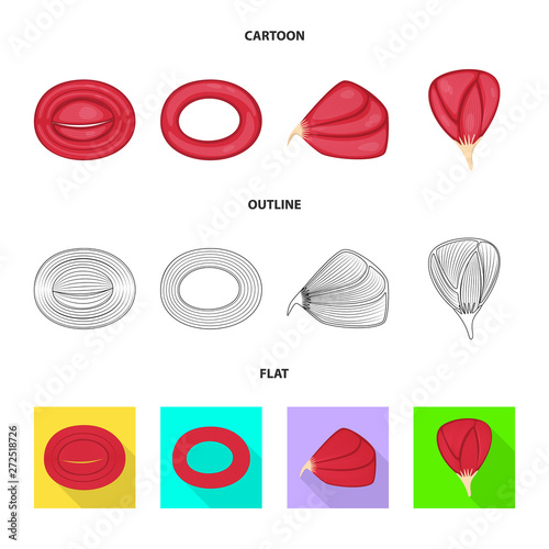 Isolated object of fiber and muscular symbol. Collection of fiber and body  vector icon for stock.