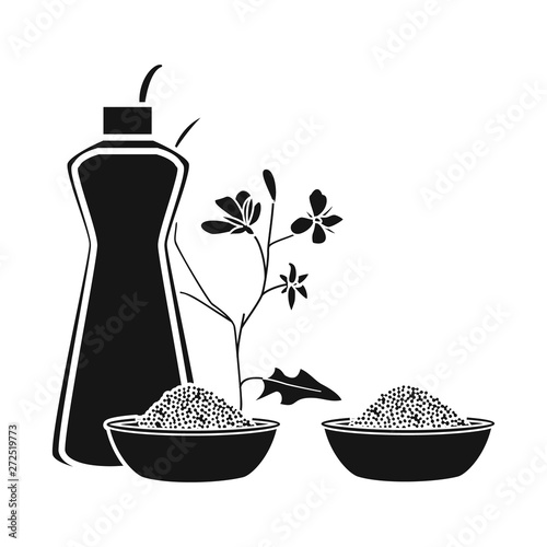 Vector design of mustard and rapeseed logo. Collection of mustard and bio stock vector illustration.
