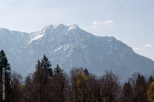 Fototapeta Naklejka Na Ścianę i Meble -  Bavarian Alps