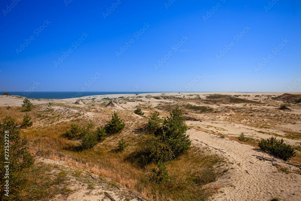 Drifting sand dunes in Curonian Spit national park with view on Baltic sea.
