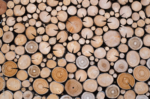 Circles of wood