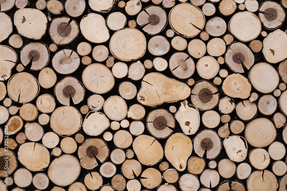 Circles of wood Circles of wood