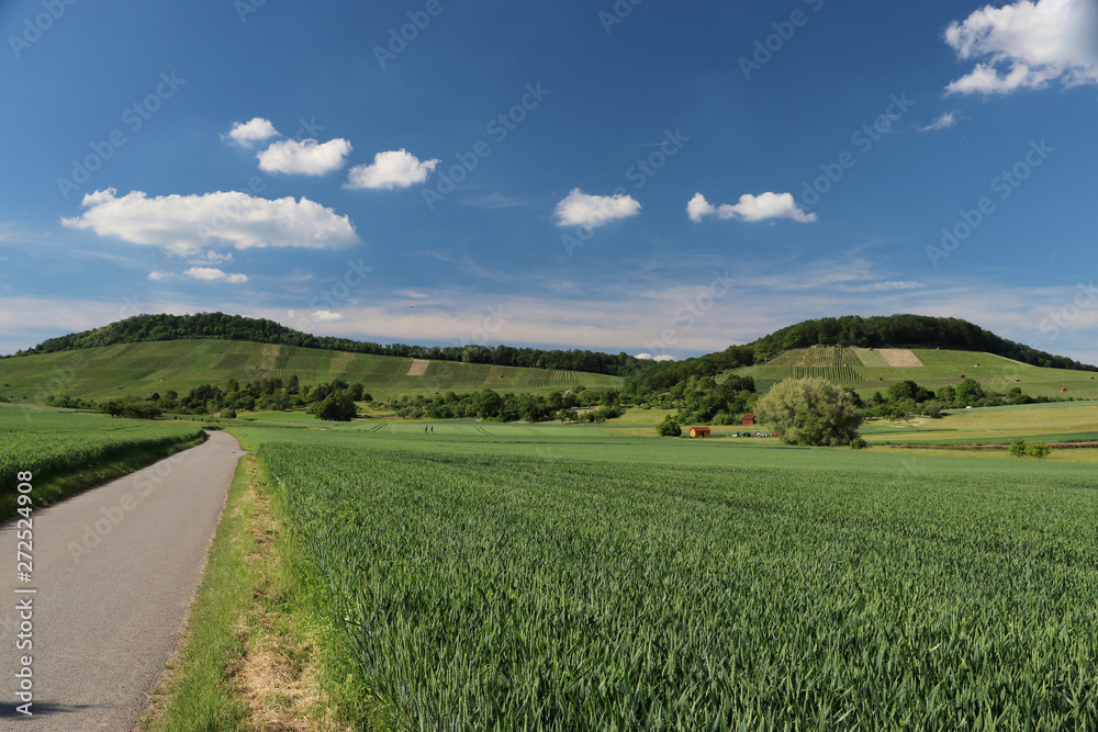 Fototapeta premium Am Wunnenstein, Bottwartal