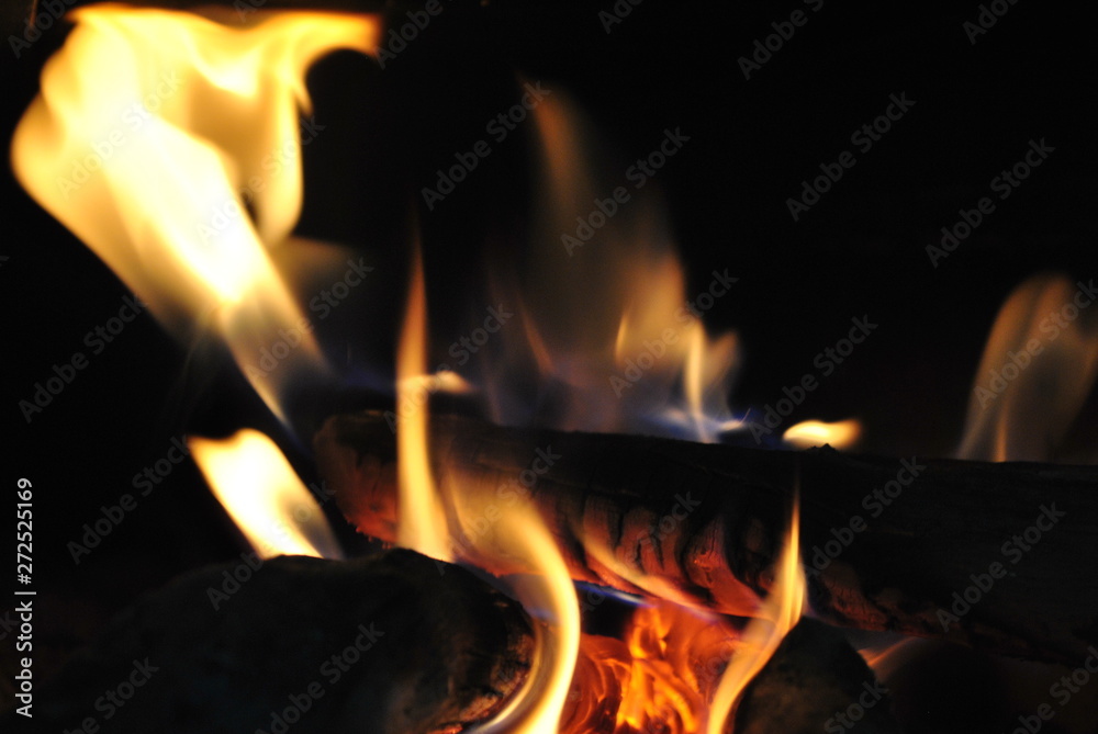wood burning stove wood burning stove