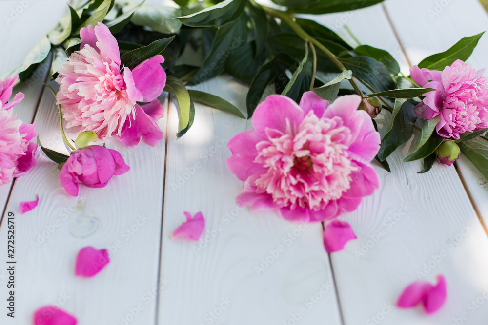 Fototapeta premium Beautiful soft pink peonies in vase on white wooden background outdoors. Summer flowers in blossom. Nature, fresh pink flowers concept