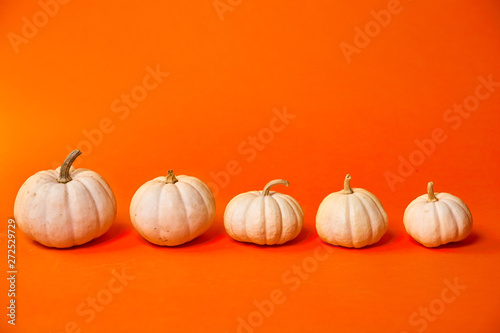 Punkins photo