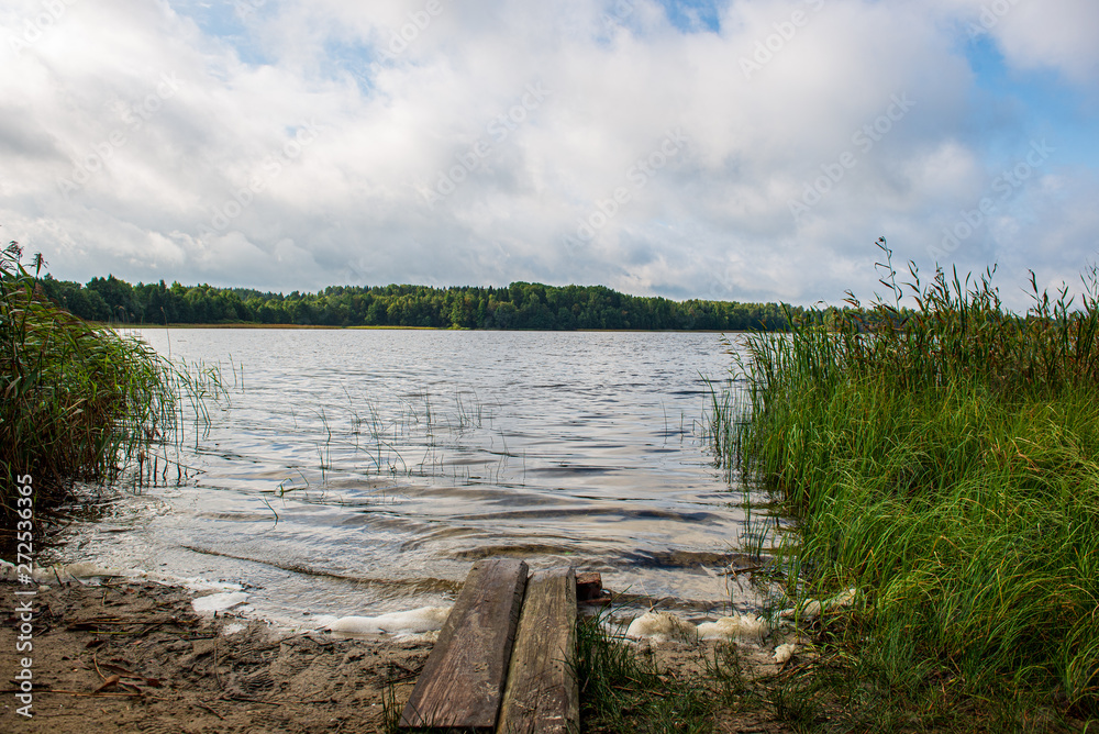 Naklejka premium deep dark forest lake with reflections of trees and green foliage