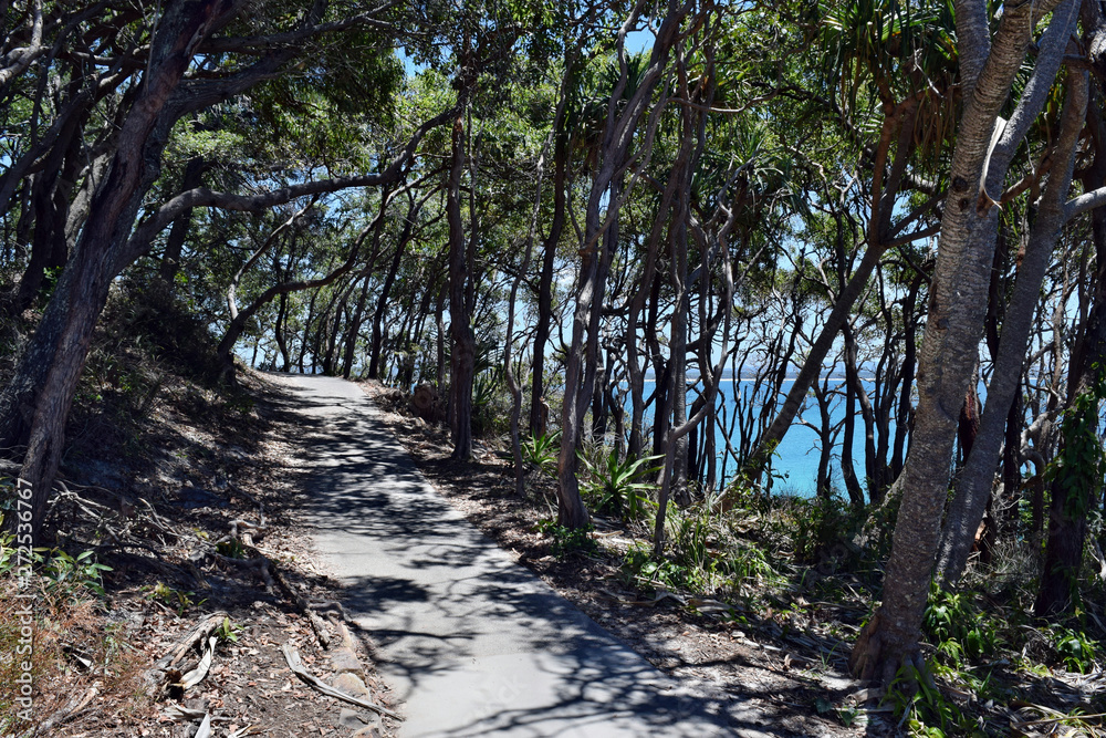 Forest way trail with an amazing ocean scenery at Noosa National Park Forest way trail with an amazing ocean scenery at Noosa National Park