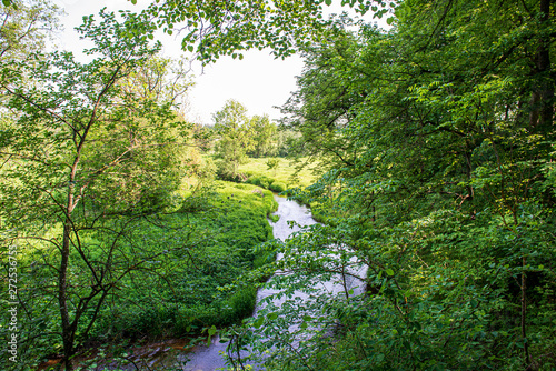 Fototapeta Naklejka Na Ścianę i Meble -  summer sun lit green forest park for relaxsation