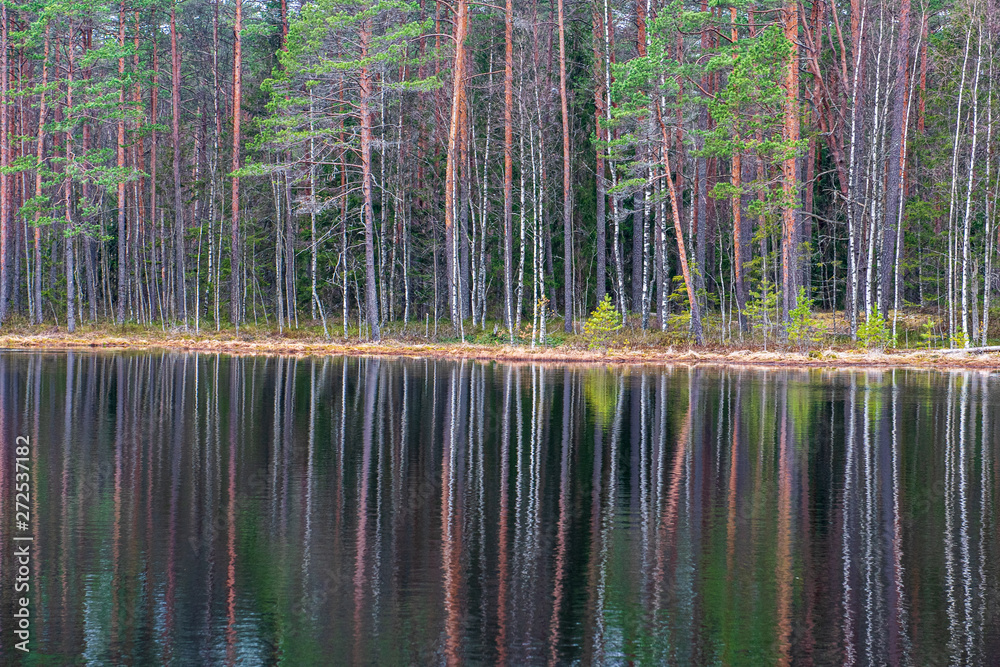 deep dark forest lake with reflections of trees and green foliage deep dark forest lake with reflections of trees and green foliage