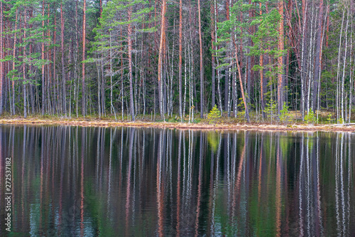 deep dark forest lake with reflections of trees and green foliage © Martins Vanags