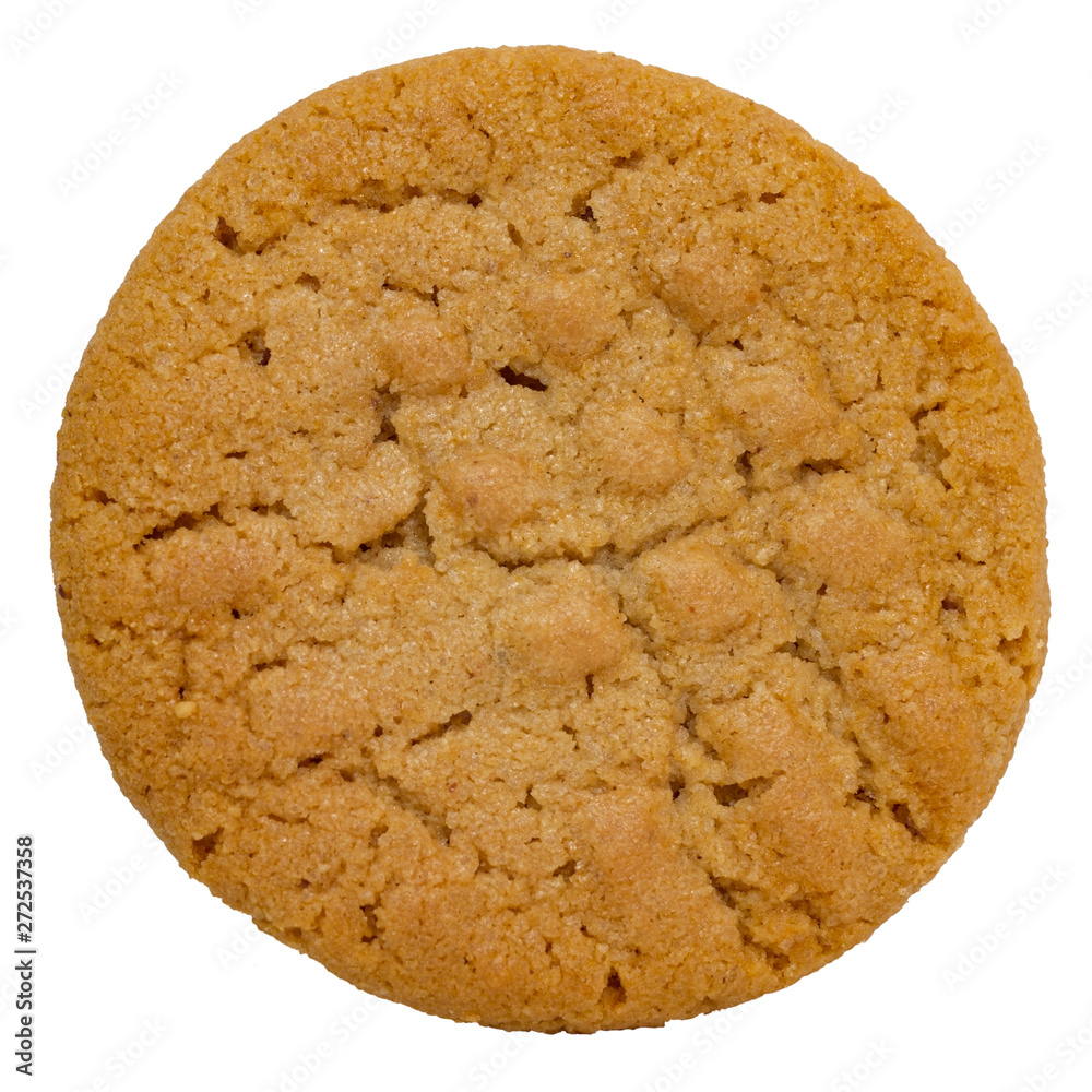 Isolated freshly baked homemade peanut butter cookie.