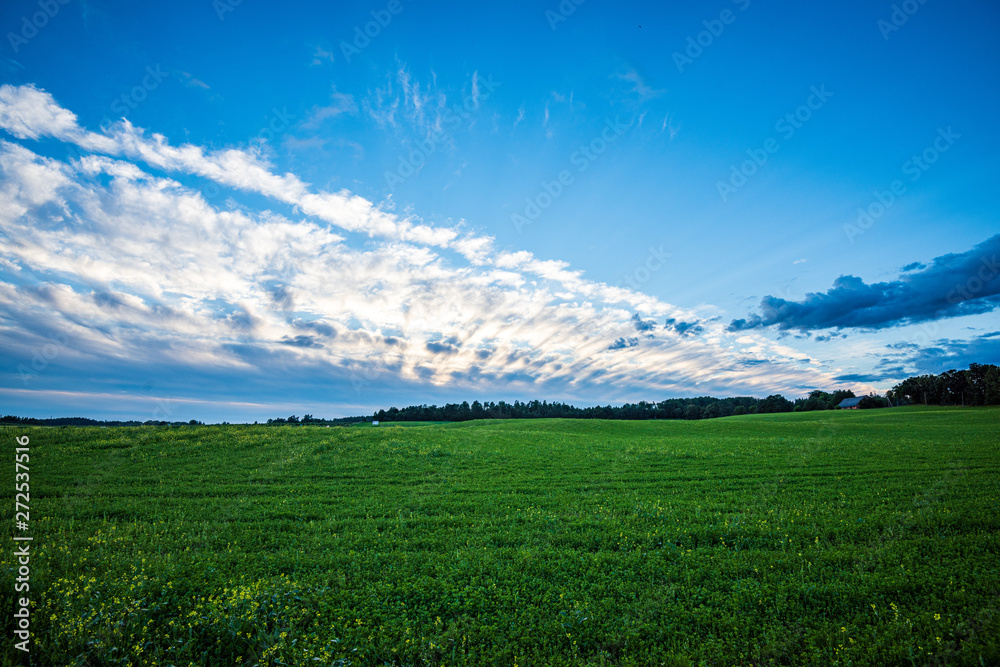 blue sky with white clouds over countryside landscape