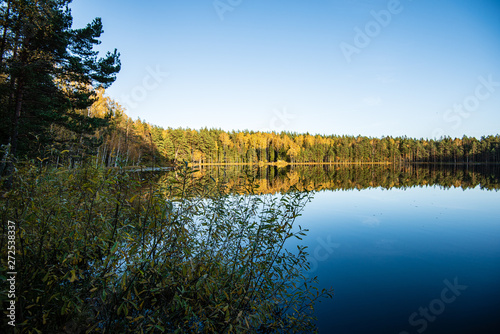 Fototapeta Naklejka Na Ścianę i Meble -  deep dark forest lake with reflections of trees and green foliage