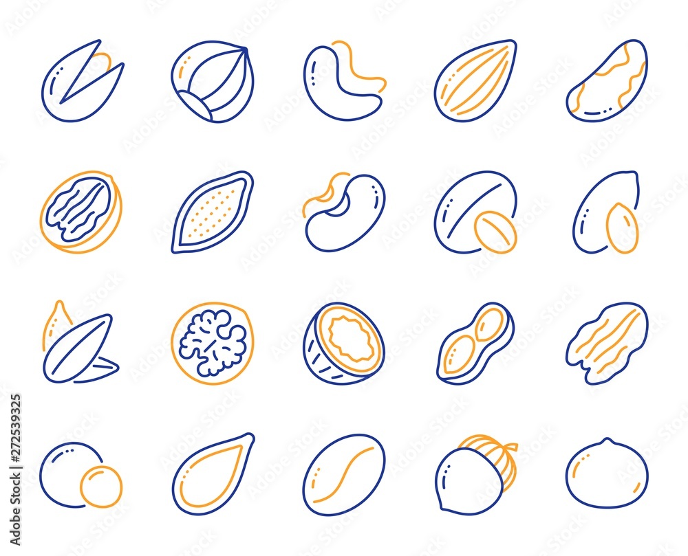 Nuts and seeds line icons. Hazelnut, Almond nut and Peanut. Sunflower and pumpkin seeds, Brazil nut, Pistachio icons. Walnut, Coconut and Cashew nuts. Pecan, peas, macadamia. Vector Nuts and seeds line icons. Hazelnut, Almond nut and Peanut. Sunflower and pumpkin seeds, Brazil nut, Pistachio icons. Walnut, Coconut and Cashew nuts. Pecan, peas, macadamia. Vector